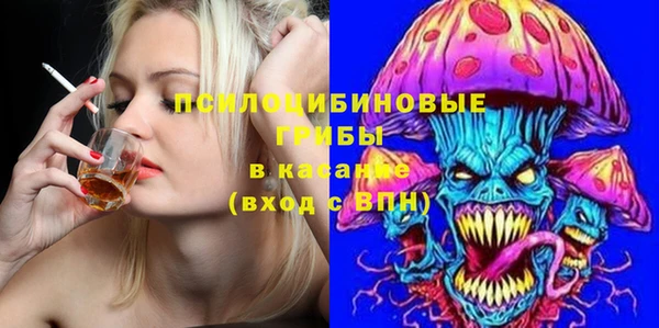 ГАЛЛЮЦИНОГЕННЫЕ ГРИБЫ Алексин