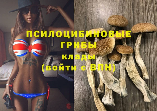 ГАЛЛЮЦИНОГЕННЫЕ ГРИБЫ Алексин