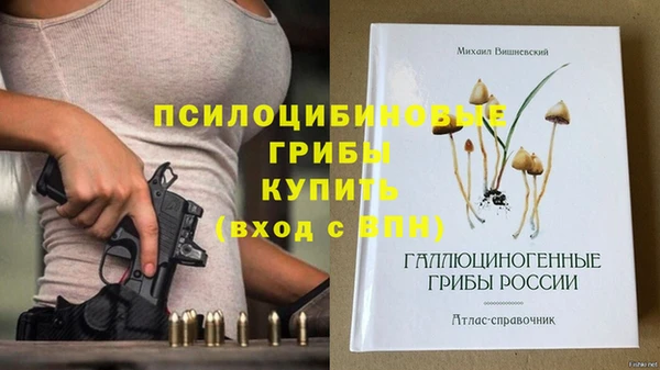 ГАЛЛЮЦИНОГЕННЫЕ ГРИБЫ Алексин