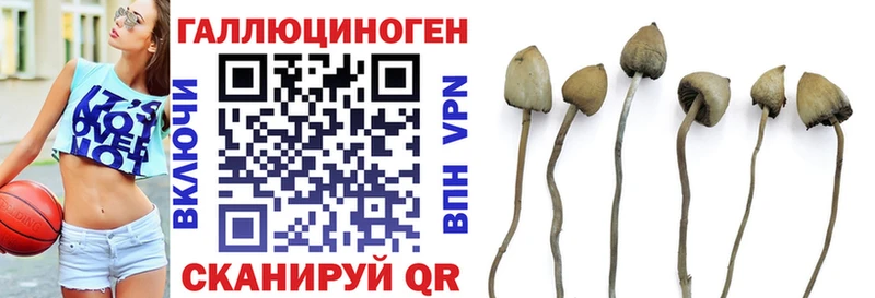 Галлюциногенные грибы Cubensis  Лесосибирск 