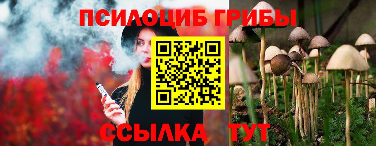 Лесосибирск  Галлюциногенные грибы Cubensis  закладка  Вход с VPN  Галлюциногенные грибы мухоморы 